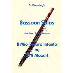 Il Mio Tesoro by Mozart