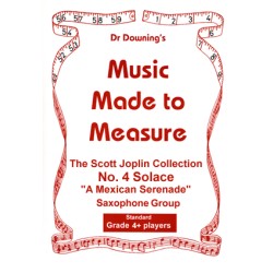 Scott Joplin`s Solace