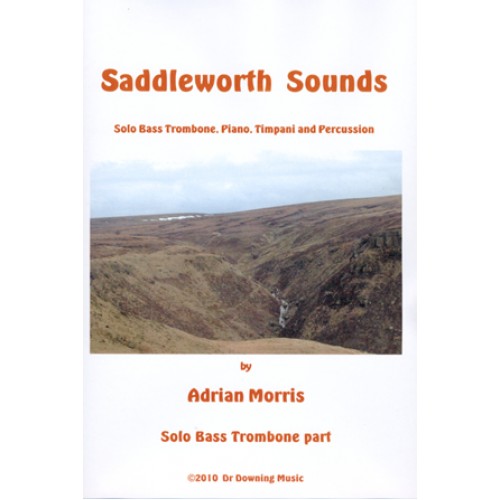 Saddleworth Sounds