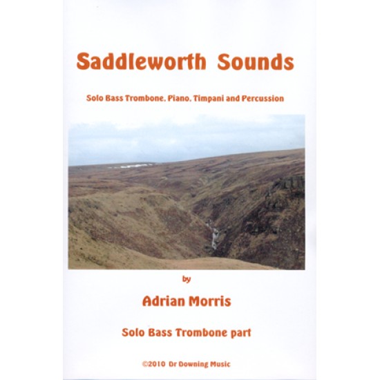 Saddleworth Sounds